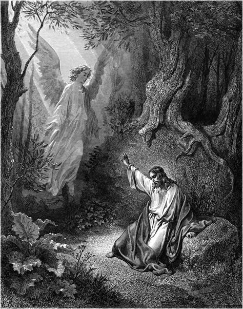 Agony and the Apostasy
